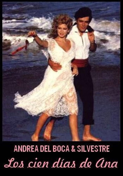 Póster de Cien días de Ana