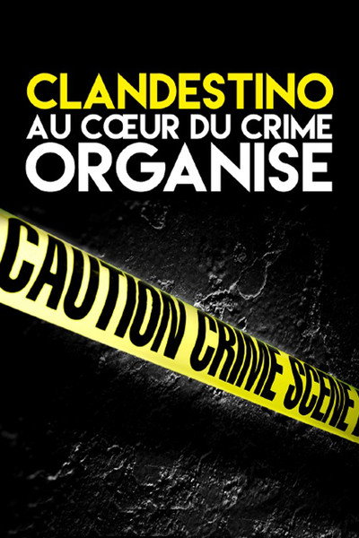 Póster de Clandestino