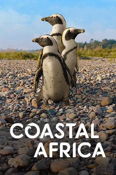 Póster de Coastal Africa