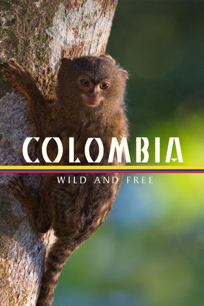 Póster de Colombia - Wild and Free