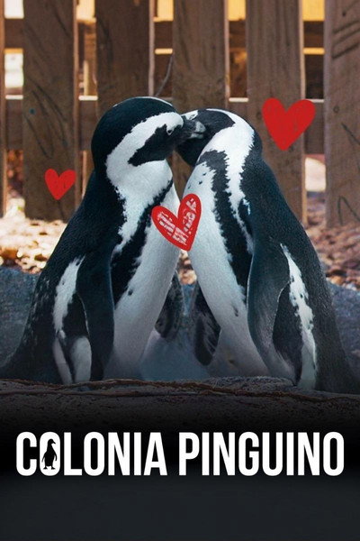 Póster de Colonia Pingüino