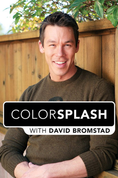 Póster de Color Splash