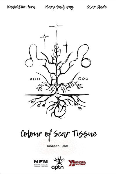 Póster de Colour of Scar Tissue
