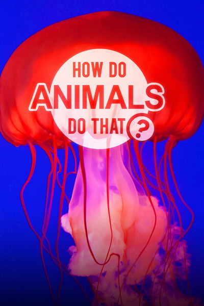 Póster de ¿Cómo lo hacen? Mundo animal