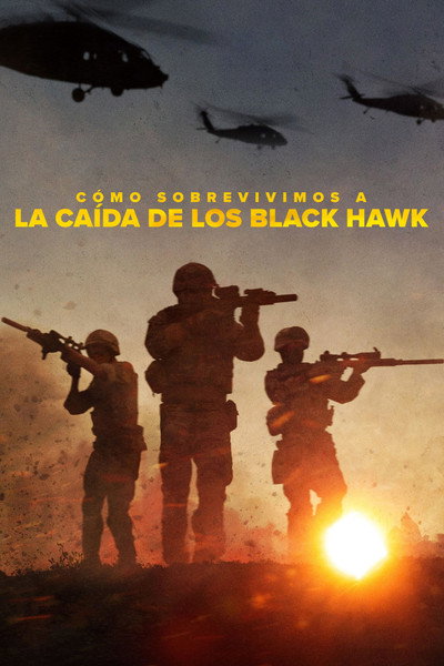 Póster de Cómo sobrevivimos a la caída de los Black Hawk