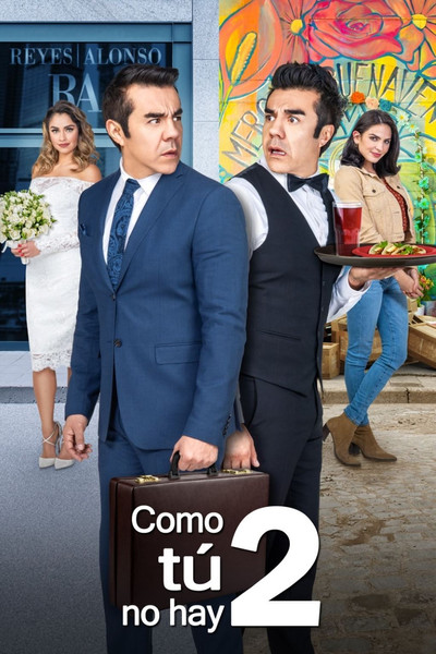 Póster de Como tú no hay dos