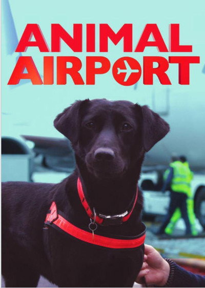Póster de Control de aduanas: animales