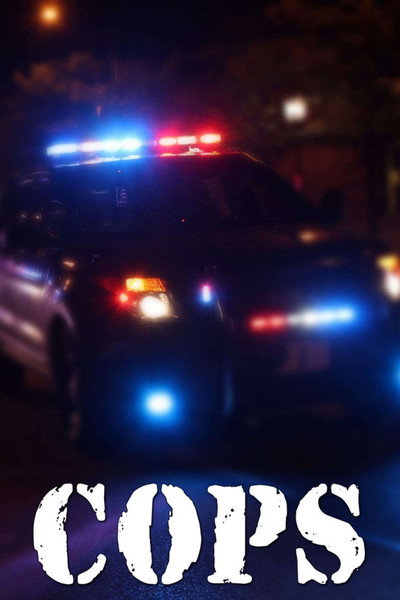 Póster de Cops