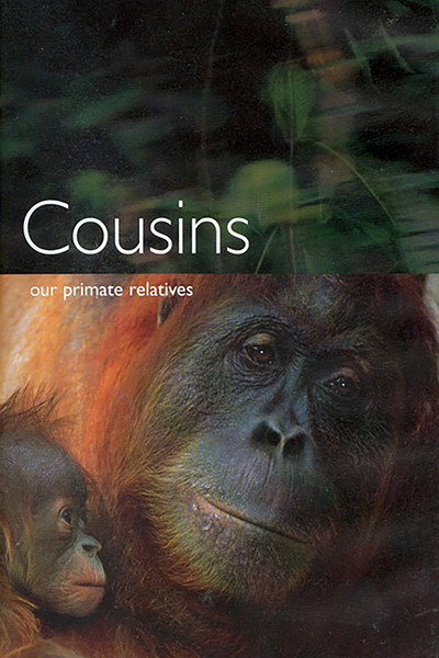 Póster de Cousins