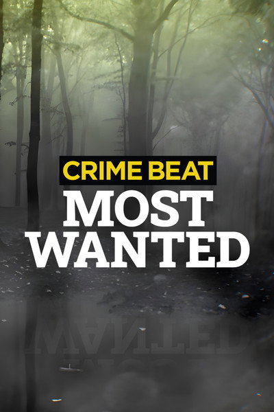 Póster de Crime Beat: Most Wanted