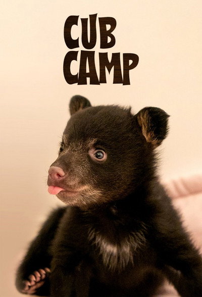 Póster de Cub Camp