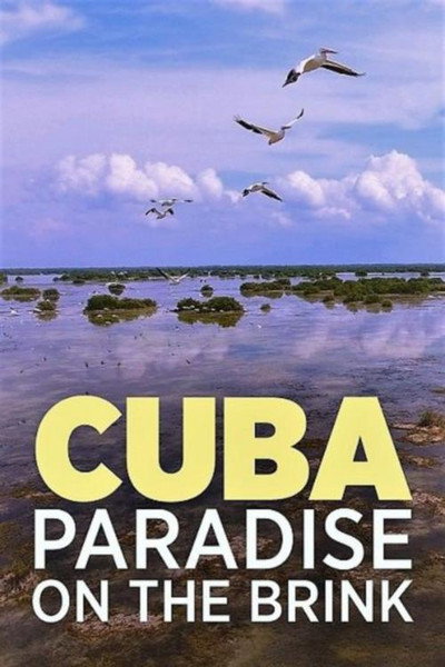 Póster de Cuba, l'île bleue/verte