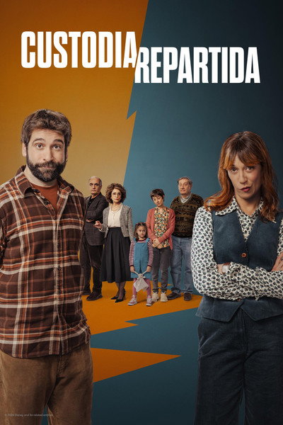 Póster de Custodia Repartida