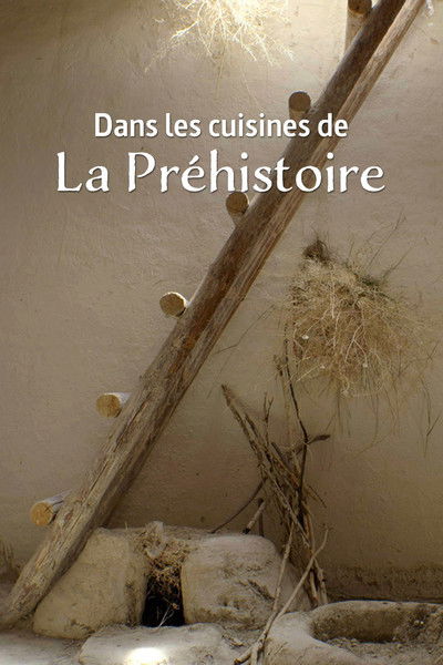 Póster de Dans les cuisines de la Préhistoire