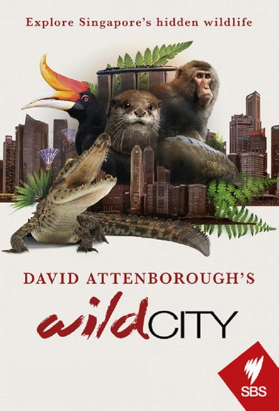 Póster de David Attenborough's Wild City