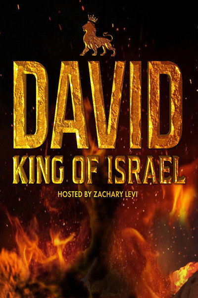 Póster de David: King of Israel