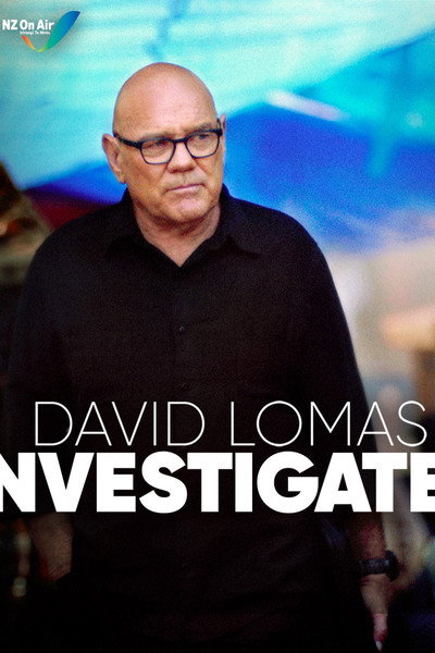 Póster de David Lomas Investigates