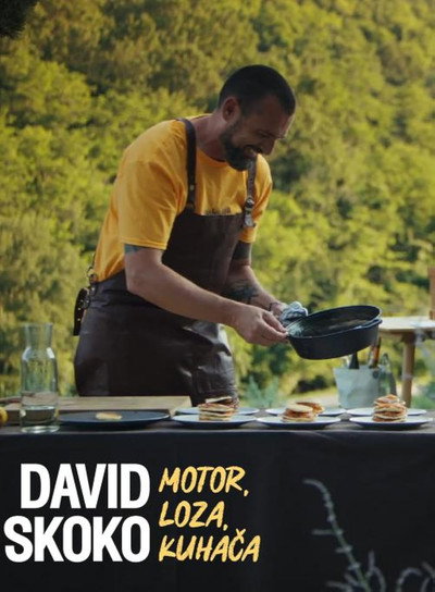 Póster de David Skoko: Motor, loza, kuhaca