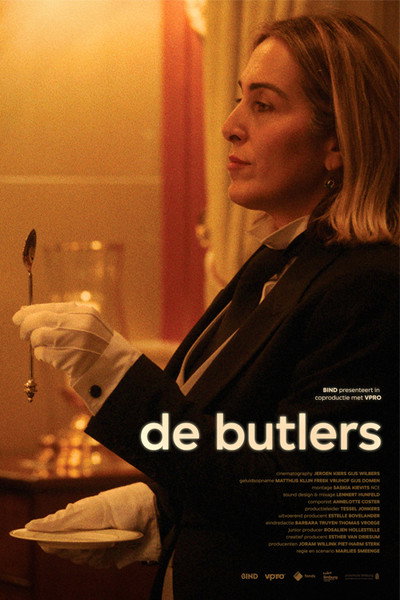 Póster de De Butlers