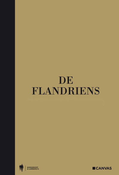 Póster de De Flandriens