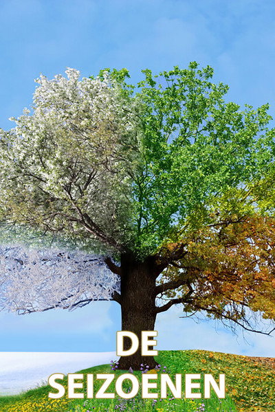 Póster de De Seizoenen