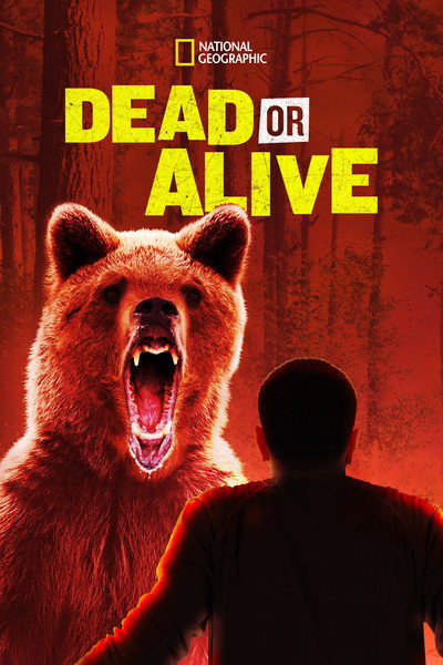 Póster de Dead or Alive
