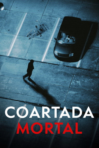 Póster de Deadly Alibi