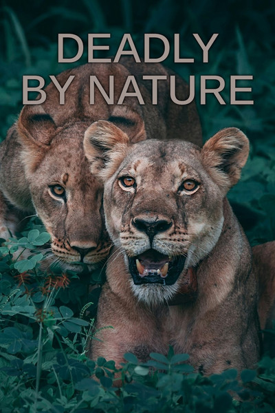 Póster de Deadly by Nature