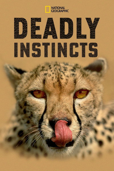 Póster de Deadly Instincts