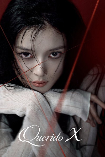 Póster de Dear X
