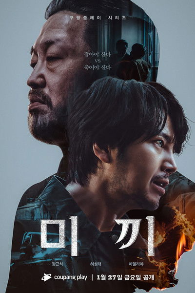 Póster de Decoy