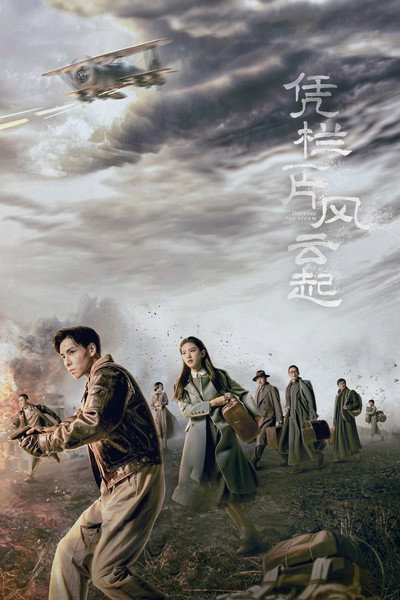 Póster de Defying the Storm