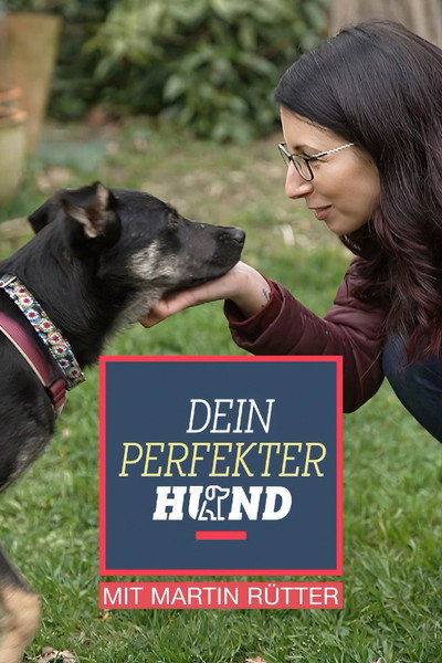 Póster de Dein perfekter Hund