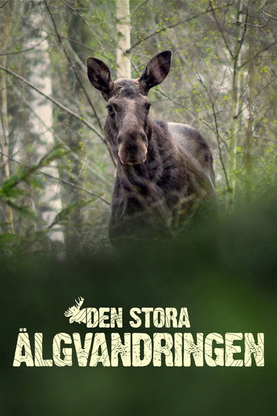 Póster de Den Stora Älgvandringen
