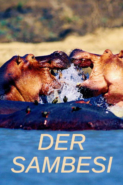 Póster de Der Sambesi