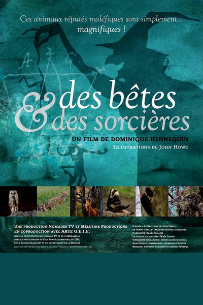 Póster de Des bêtes et des sorcières