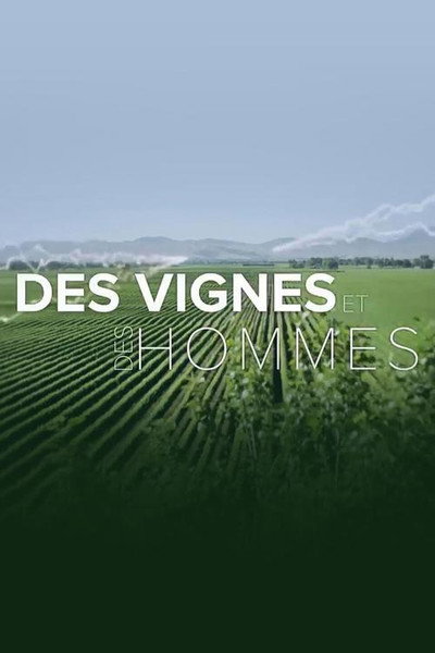 Póster de Des vignes et des hommes