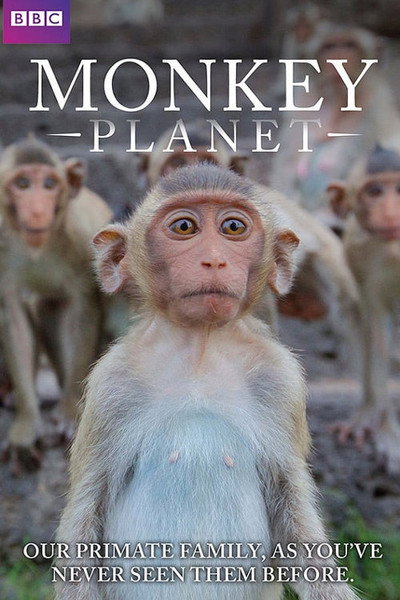 Póster de Descubriendo a los monos