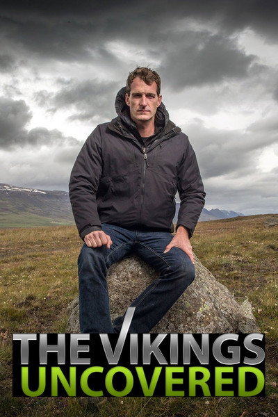 Póster de Descubriendo a los vikingos