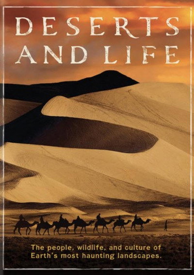 Póster de Deserts and Life