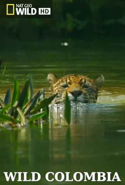 Póster de Destination Wild: Colombia