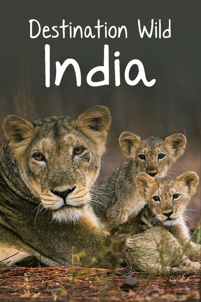 Póster de Destination Wild: India