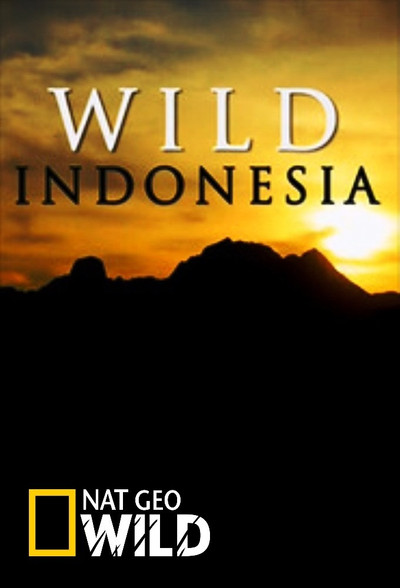 Póster de Destination Wild: Indonesia