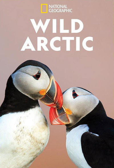 Póster de Destination Wild: Wild Arctic