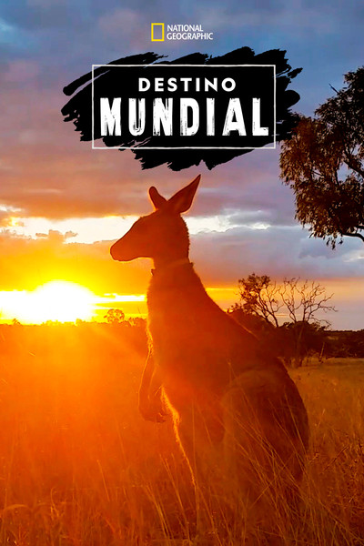 Póster de Destination World
