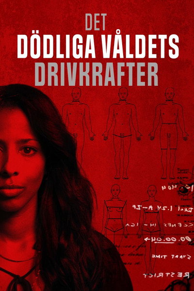 Póster de Det dödliga våldets drivkrafter