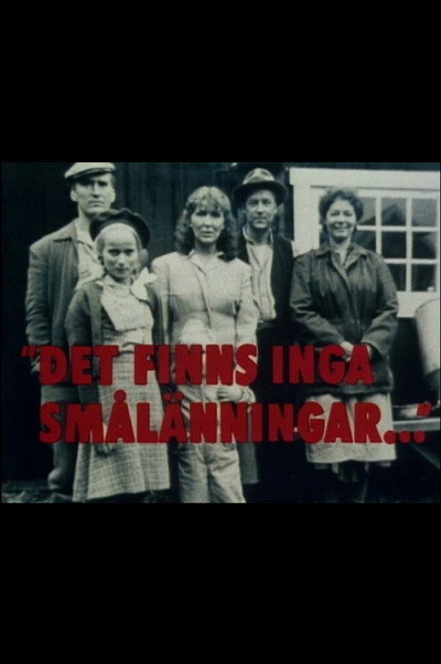 Póster de Det finns inga smålänningar