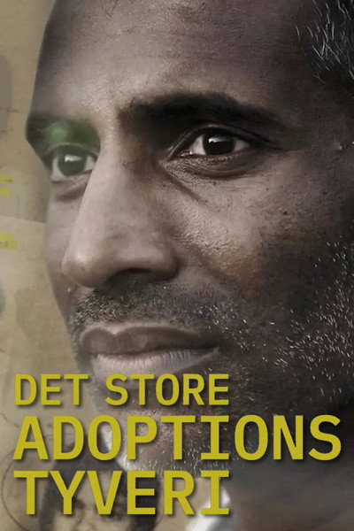 Póster de Det store adoptionstyveri