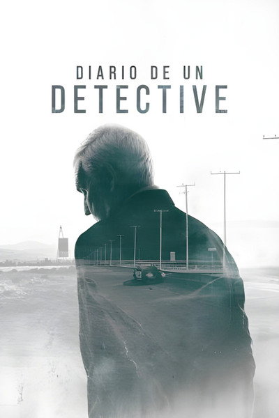 Póster de Detective Diaries