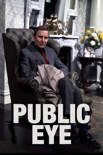 Póster de Detective público